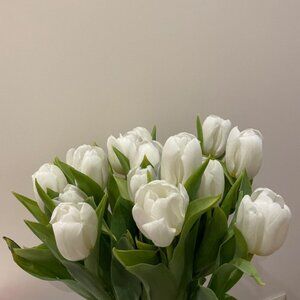 Meet your Posher, Maritza